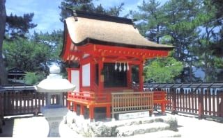 嚴島神社 末社清盛神社本殿 保存修理工事