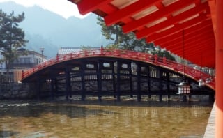 嚴島神社反橋 保存修理工事