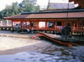 被害状況